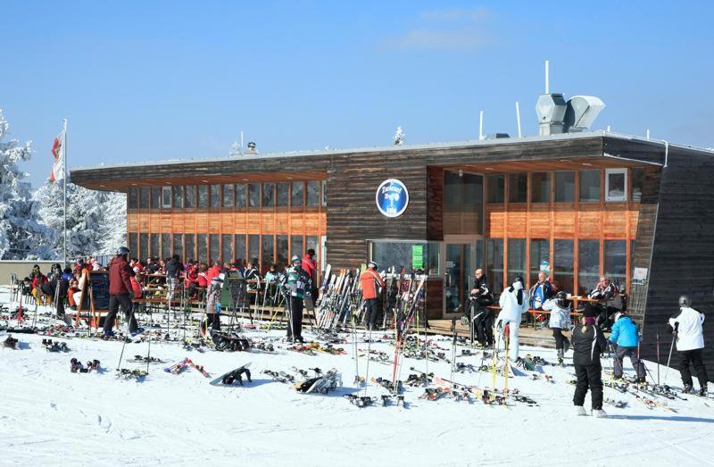 Forsthaus Apartments - Ski + Bike & Hike Klaffer am Hochficht Bagian luar foto