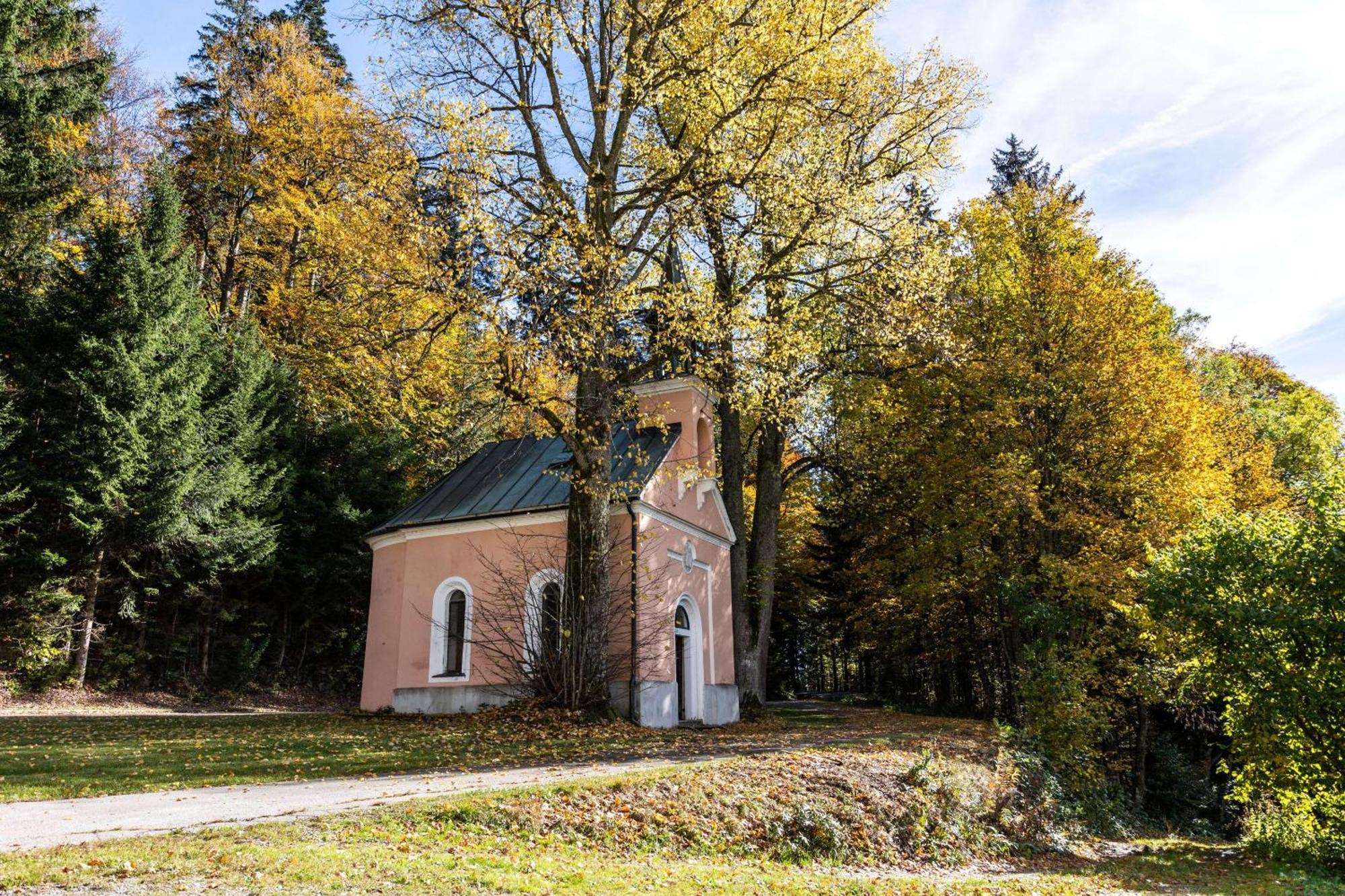 Forsthaus Apartments - Ski + Bike & Hike Klaffer am Hochficht Bagian luar foto