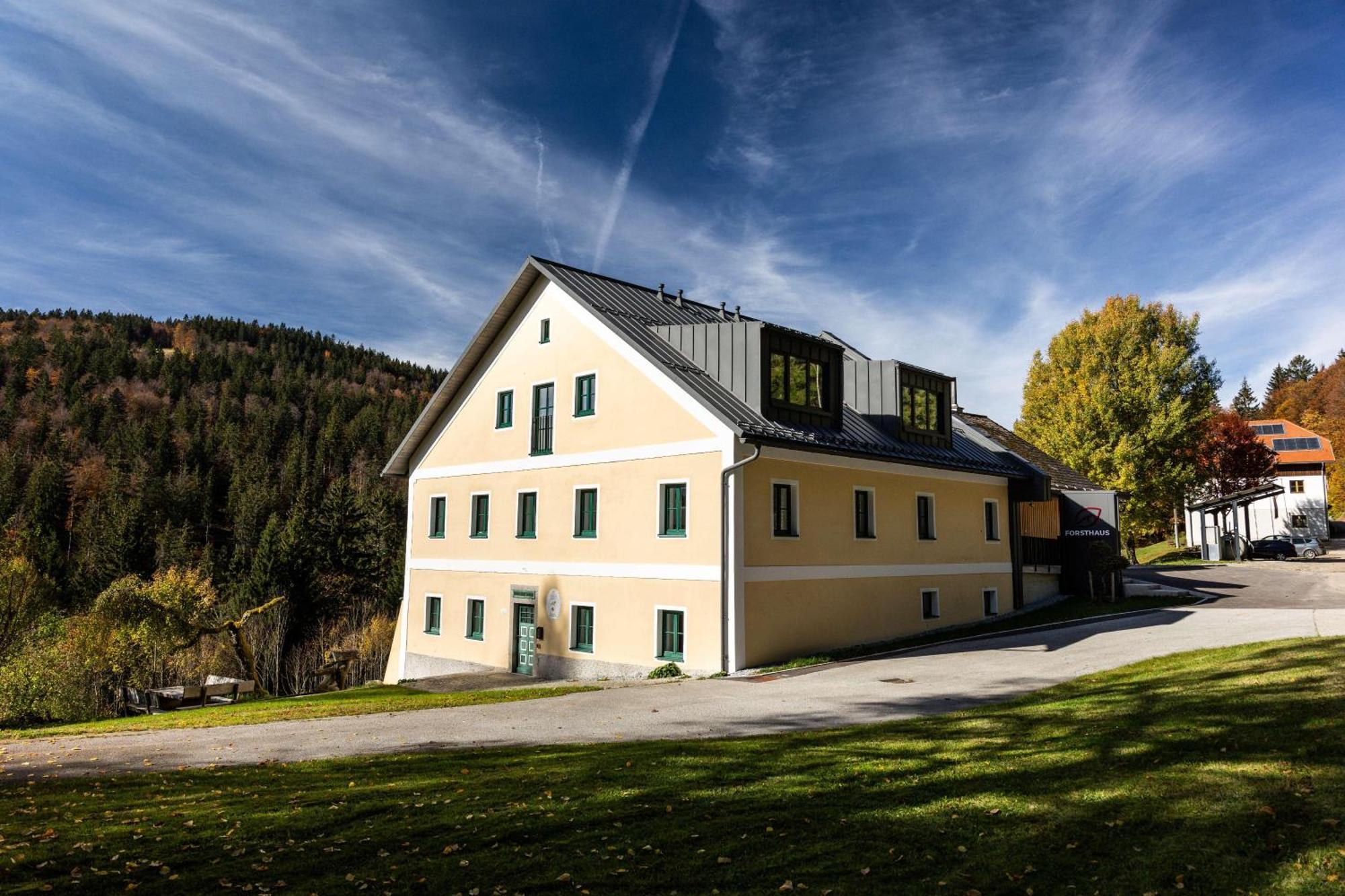 Forsthaus Apartments - Ski + Bike & Hike Klaffer am Hochficht Bagian luar foto