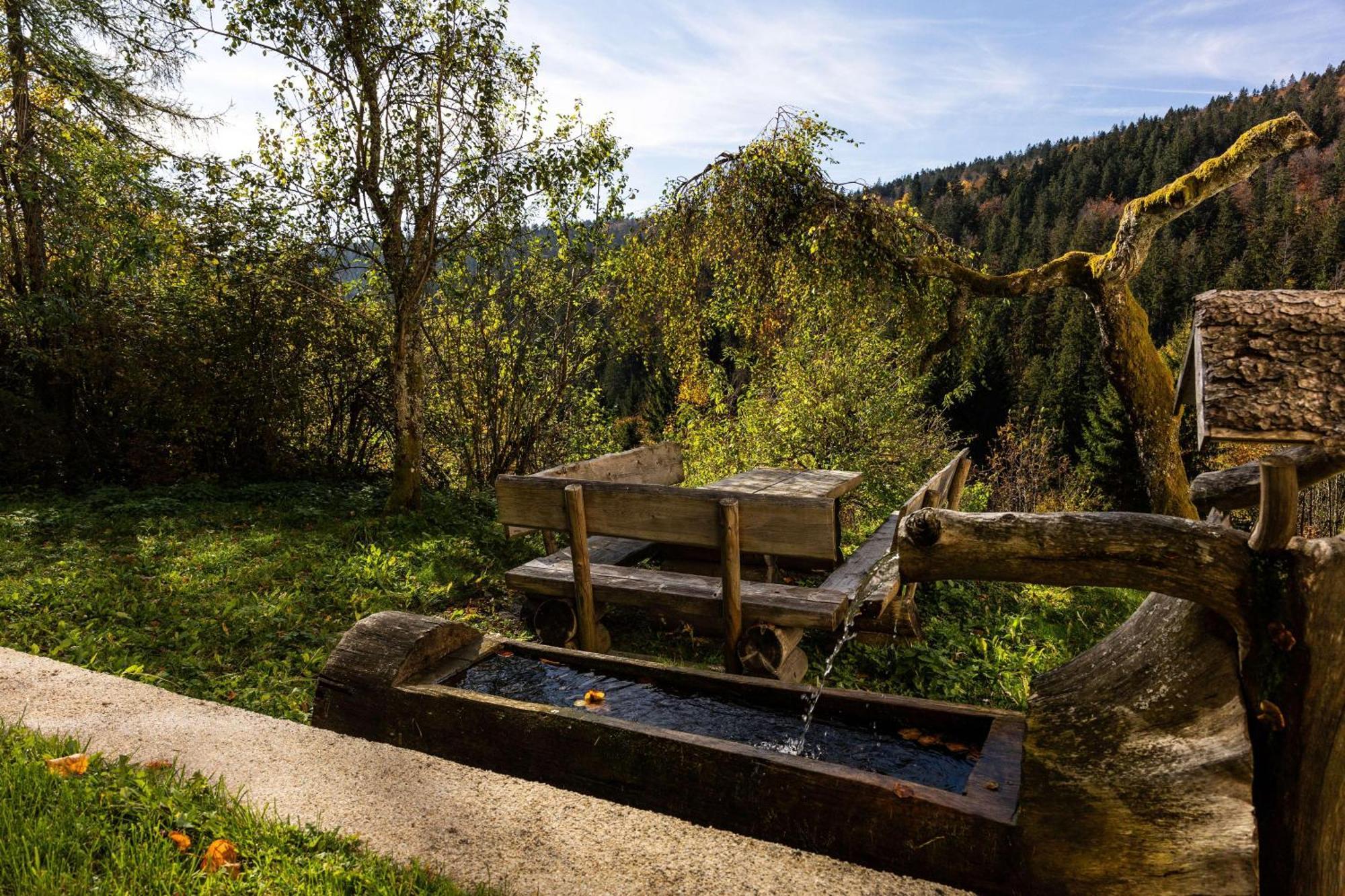 Forsthaus Apartments - Ski + Bike & Hike Klaffer am Hochficht Bagian luar foto
