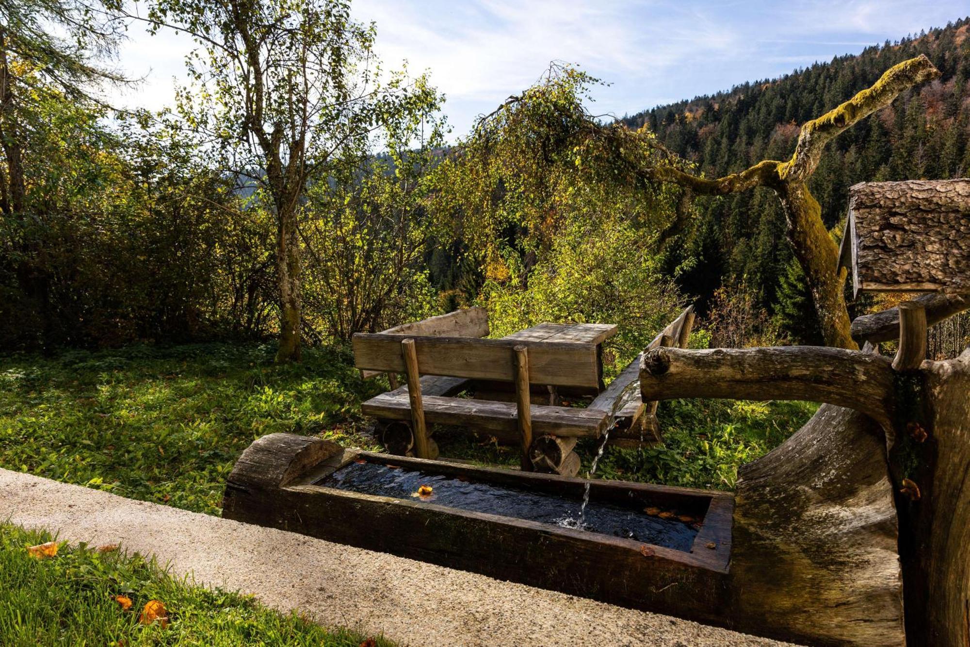 Forsthaus Apartments - Ski + Bike & Hike Klaffer am Hochficht Bagian luar foto