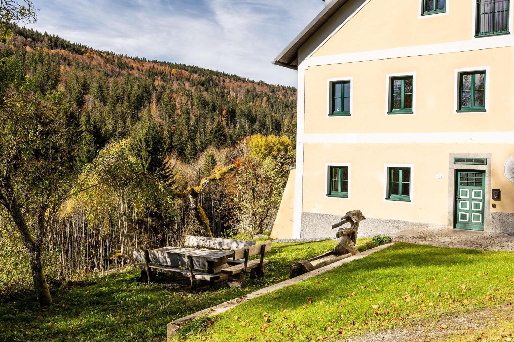 Forsthaus Apartments - Ski + Bike & Hike Klaffer am Hochficht Bagian luar foto